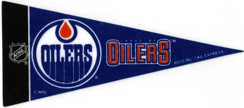 EDMONTON OILERS~BRAND NEW NHL HOCKEY TEAM MINI SOUVENIR 9" MINIATURE PENNANT Cover