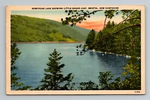 Newfound Lake Showing Little Sugar Loaf Bristol NH cartolina in lino spedita - Foto 1 di 2