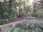 Photo 12x8 Track in Thornet Wood Bickley/TQ4269 This woodland track leads c2011