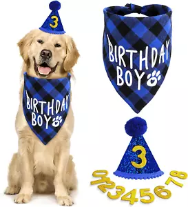 Dog Birthday Celebration Set with Bandana and Glitter Hat for All Sizes (Blue) - Picture 1 of 12