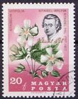 Hungary 1967 Used, Pal Kitaibel, Hungarian botanist & chemist   [Jw]