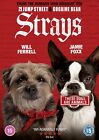Strays [DVD] [2023]