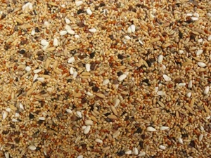 Großsittichfutter FEIN 10 kg Sittichfutter Vogelfutter Nymphensittichfutter - Bild 1 von 2