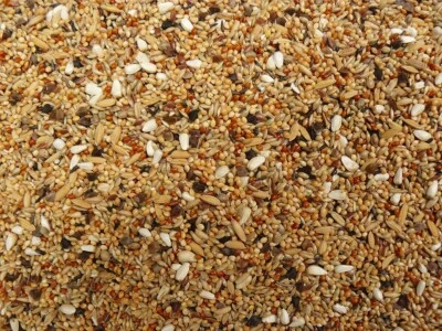 Großsittichfutter FEIN 10 kg Sittichfutter Vogelfutter Nymphensittichfutter - Bild 1 von 2