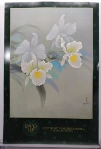 David Lee Chinese Art Museum Poster Center Art Galleries Hawaii Limited Edition  - Picture 1 of 7