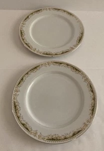 2 Queen Anne by Signature Collection 10 1/4" Dinner Plate Fine China Japan - Picture 1 of 7