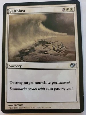 MTG Magic The Gathering Card Saltblast Sorcery White Planar Chaos 2007 - Image 1 of 2