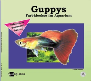 Guppys - Bild 1 von 1