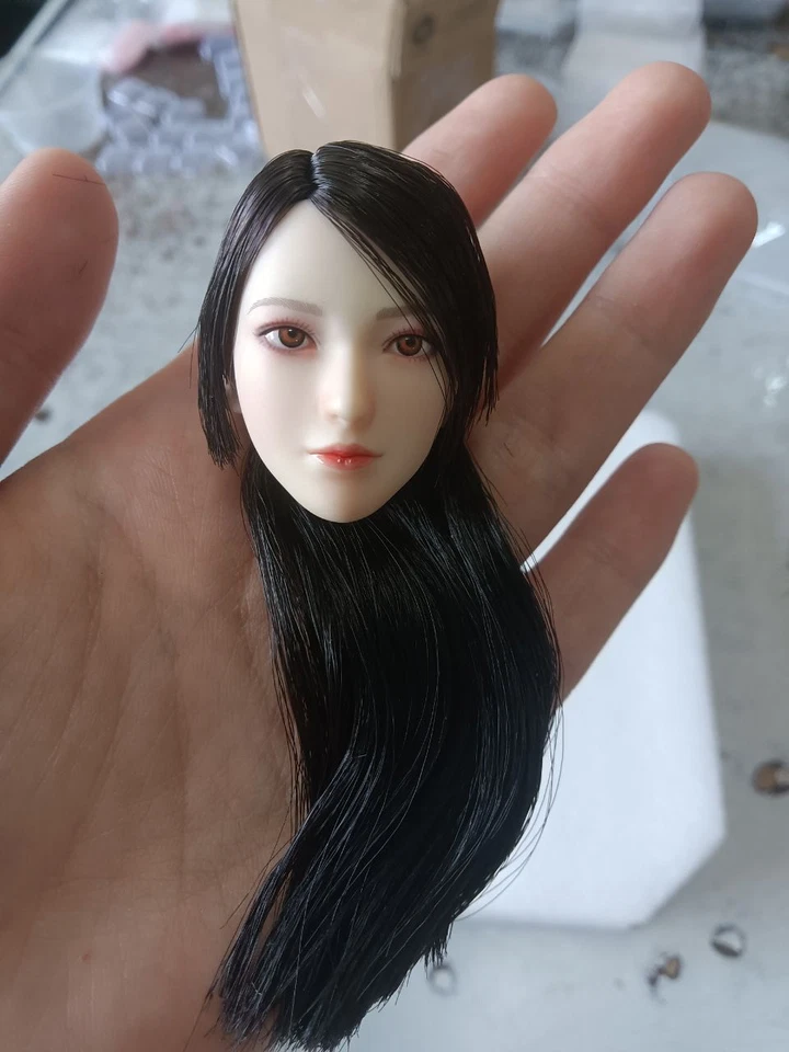 Cabeza femenina esculpida escala 1/6 con cola de caballo larga pelo negro para figura de 12" pálida Foto 1 de 4