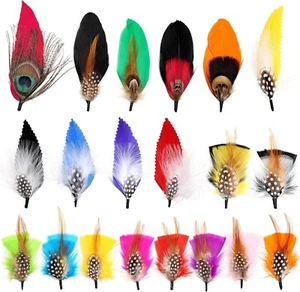 20 piezas de plumas para sombreros, plumas variadas para sombreros coloridos - Picture 1 of 9