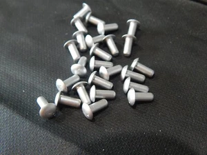 ALLFAST B0205016AD4-5S RIVET, SOLID EF2036W1C4C5 - LOT OF 25 RIVETS - FAST SHIP - Foto 1 di 1