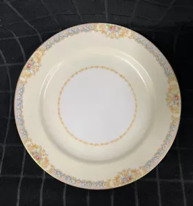 ROSENPORZELLAN "RO2" 10 1/8" SPEISETELLER - BLAU HELLBRAUN BLUMENRAND URNENKÖRBE - Bild 1 von 3