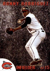 2012 Carolina Mudcats Team Issue #26 Ronny Rodriguez Dominican Republic DR Card