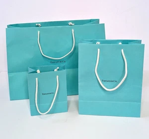 Tiffany & Co. Lote de 3 bolsas de regalo de compras de papel 5x6x3 9,75x5x4 15,5x11x8,5 - Imagen 1 de 15