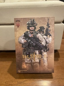 Dam Toys 1° SFOD-D CAG Gunner Elite Series n. 78074 - Foto 1 di 21