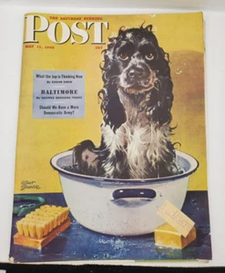 1946 MAY 11 The Saturday Evening Post Albert Staehle Butch Gets Bath - Picture 1 of 5