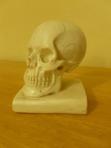 Vintage A. Santini Faux Marble Skull on Book Paperweight Made in Italy - Picture 1 of 6