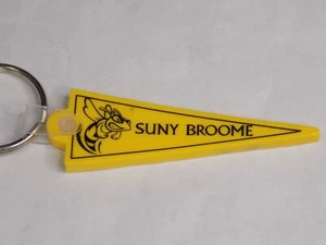 SUNY BROOME Pennant Shaped Keychain w/ Mascot Binghamton NY - Picture 1 of 3