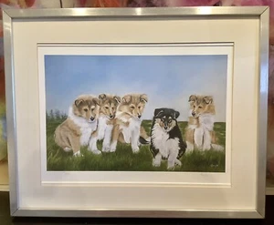 Collie Puppies Framed Print by Gayle Mason. - Picture 1 of 9