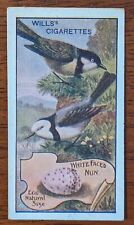 1912 Wills Specialties Birds of Australasia Cigarette Card - White Faced Nun
