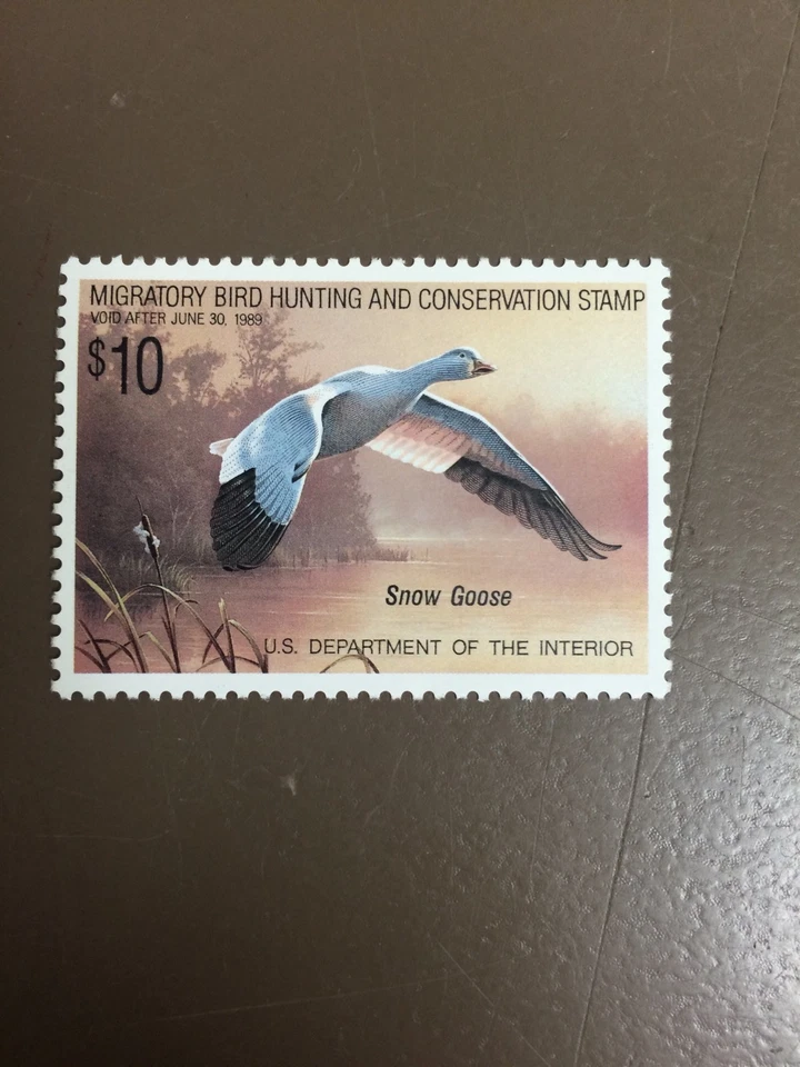 US RW55 Federal Duck Stamp - mint never hinged - very nice 1988 stamp - Image 1 of 1