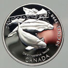 1998 CANADA UK Elizabeth II Wildlife BELUGA WHALES Proof Silver 50c Coin i92861