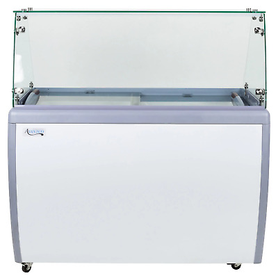 Flat Glass Ice Cream Dipping Cabinet - 49  • 2,260.44$