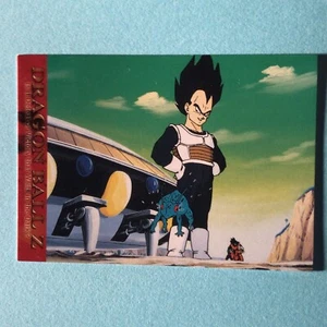 Vegeta N-76 DRAGON BALL Z CARDDASS 2003 AMADA DBZ Toriyama Akira Japan - Picture 1 of 6