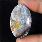 37.00Cts. Natural Top Designs Crazy Lace Agate Oval Cabochon Loose Gemstone