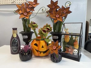 Hyde & Eek 2020 Halloween Lot Dancing Pumpkin Succulent Preying Posies Terrarium - Picture 1 of 5