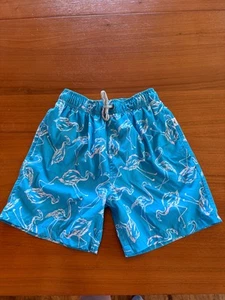 Vintage Summer Swim Trunks Shorts Boys Size 12 Teal Flamingos - Picture 1 of 3