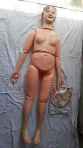 Maniquí de enfermería multifuncional (mujer) A12... - Imagen 1 de 3