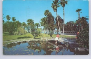 Charming Southern Park, Somewhere, USA, Vintage 1958 Chrom Postkarte - Bild 1 von 2