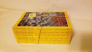 National Geographic Magazine 1981 Near Complete Year No Dec - Bild 1 von 3
