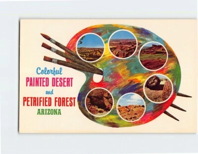 Postcard  Colorful Painted Desert And Petrified Forest Arizona - Image 1 of 2
