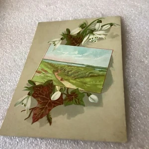 1884 VICTORIAN LILYS DESIGN GREETINGS CARD - Picture 1 of 3