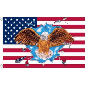 5ft x 3ft 150 x 90cm 5' 3' USA Eagle United States Of America American Flag - Picture 1 of 1