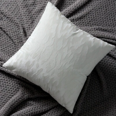 美国全新毛绒压花天鹅绒靠垫套柔软枕套沙发家居装饰 — 第 1/4 张图片