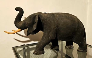 SCULTURA ANTICA IN LEGNO DI ELEFANTE - GIAPPONE PERIODO MEIJI - 70x31x26 cm - Foto 1 di 7