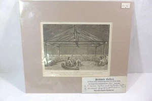 The Ceremony of Poulaho King of The Friendly Islands Drinking Kava Print 1807 - Picture 1 of 6