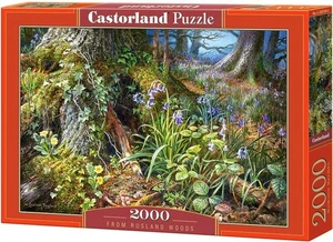 NUEVO Rompecabezas Castorland 2000 piezas de Rusland Woods - Imagen 1 de 2