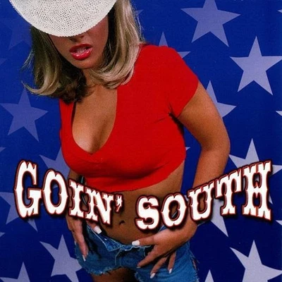 Goin' South by Various Artist (CD, 2001) Promo Punch in UPC Foto 1 de 4