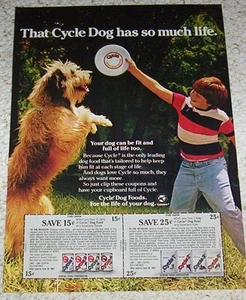 Página de anuncio 1981 - Ciclo comida para perros lindo perro peludo niño jugando anuncio impreso vintage - Imagen 1 de 1