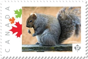 SQUIRREL with COOKIE = side = Picture Postage stamp MNH Canada 2017 p17-04sq2-2 - Picture 1 of 2