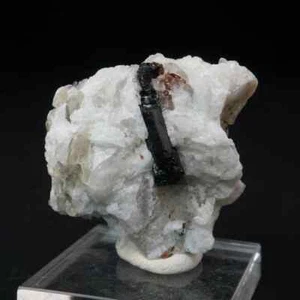 Schorl, Spessartine Garnet and Mica in Pegmatite / Little Three Mine, California - Picture 1 of 4