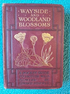 Wayside & Woodland Blossoms, Step, Warne & Co., Erste Serie, Neuauflage 1905 - Bild 1 von 14