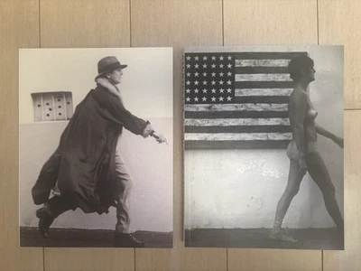 Sturtevant Brutal Truth and Catalogue Raisonné Hatje Cantz 2004 Conceptual Art - Image 1 of 2