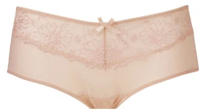 Panache Ariza Blossom Nude Briefs UK 18 Sheer see through knickers pants panties - Picture 1 of 2
