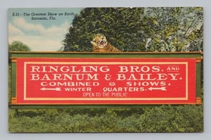 Postkarte Ringling Bros. Barnum & Bailey Show Tiger auf Schild Sarasota Florida - Bild 1 von 2