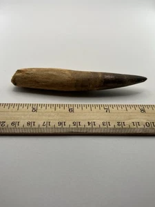 Spinosaurus 4.25” TOOTH Teeth Dinosaur Fossil before T Rex Cretaceous Q11 - Picture 1 of 4